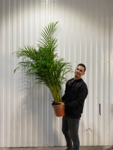 Vacation plant care
