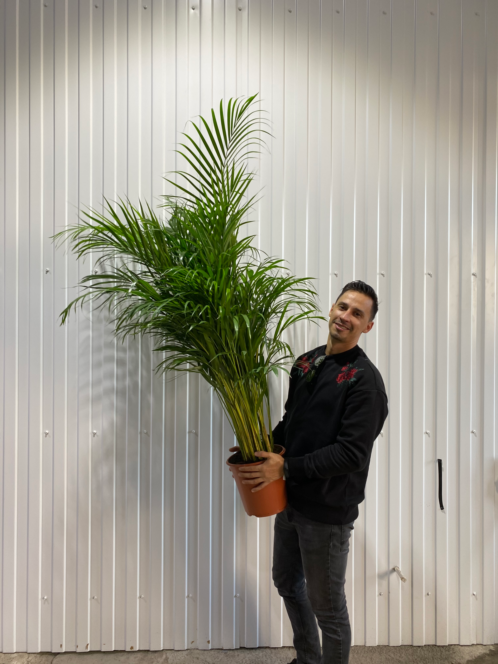 Vacation plant care Vancouver