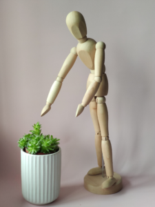 Plant boarding