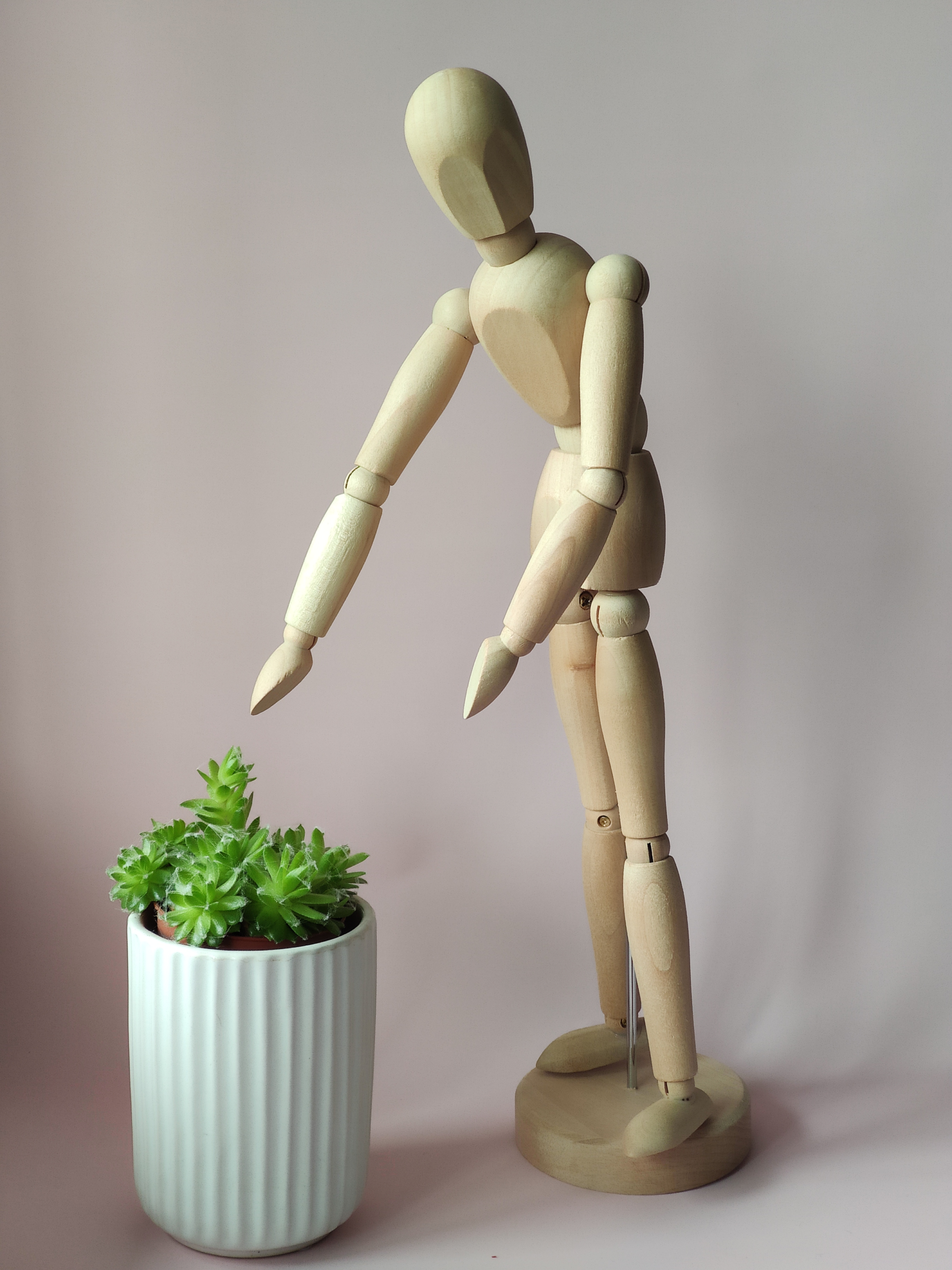 EverBlossom plant care Vancouver