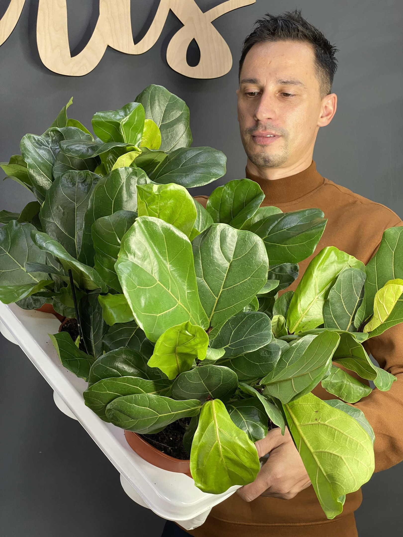 Vacation plant care Vancouver